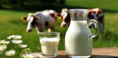 深圳食品进口报关公司：应对复杂法规的得力助手